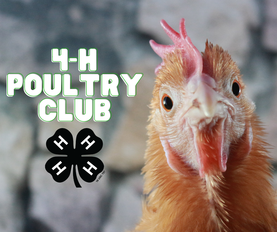 poultry club logo