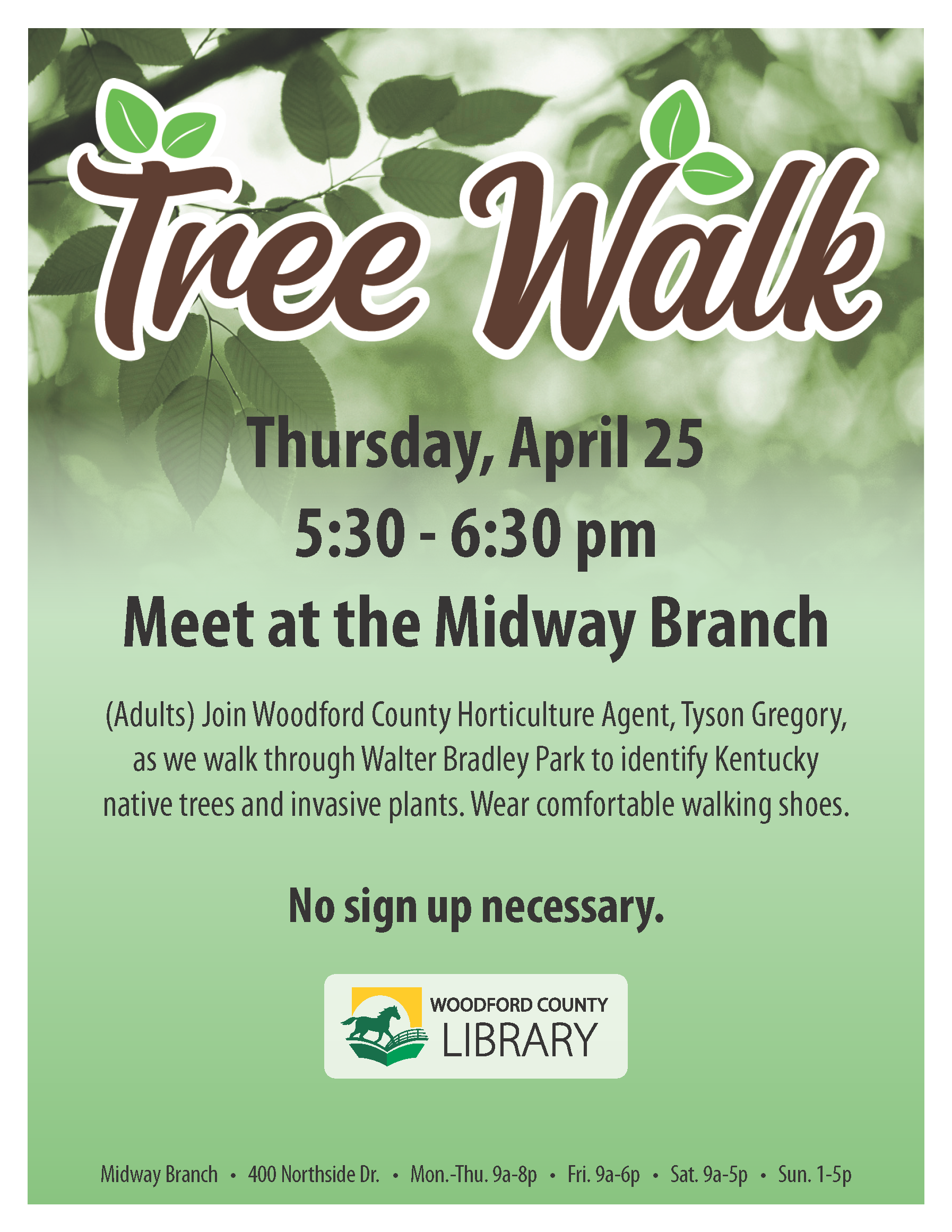 Tree Walk Poster