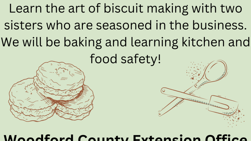 Biscuit Making Fun Flyer