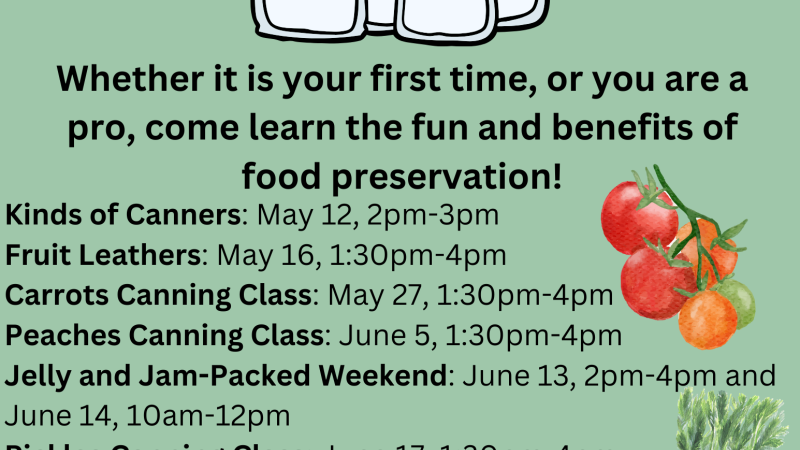 Preserving Summertime