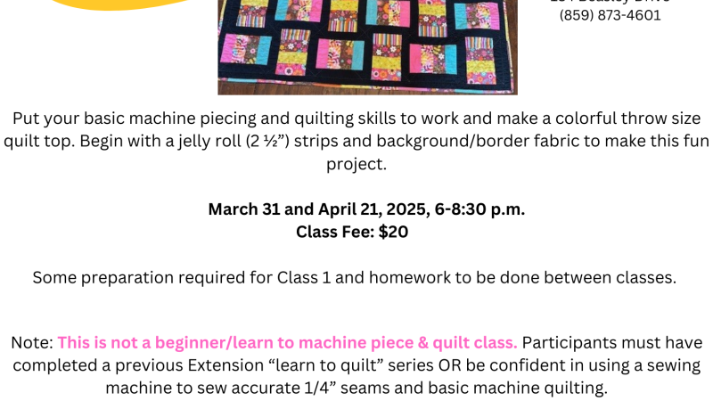 Coin Quilt with Pizazz Flyer