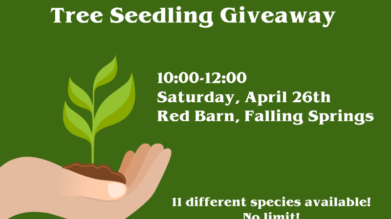 Tree Giveaway Flyer